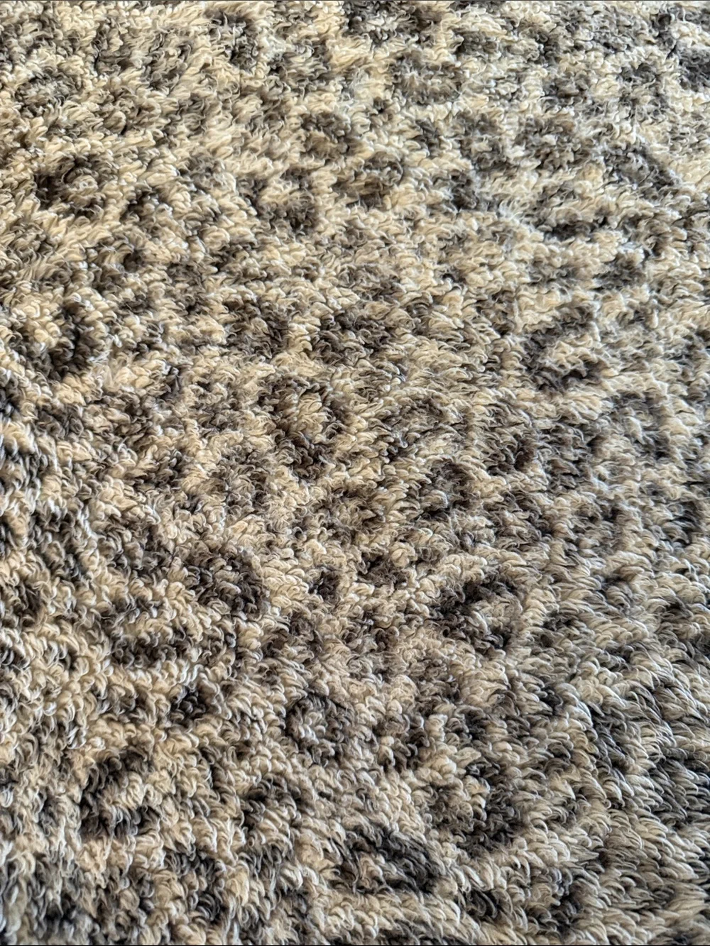 Leopard Print Blanket